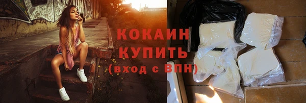 шишки Абаза