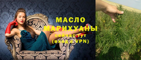 шишки Абаза