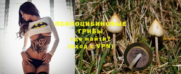сатива Абдулино