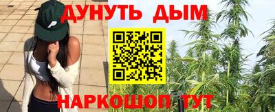 индика Сосновый Бор