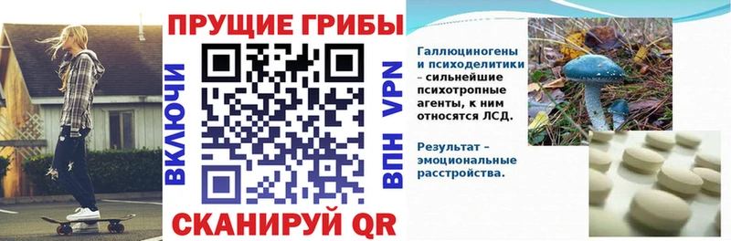 площадка состав Одинцово Галлюциногенные грибы GOLDEN TEACHER