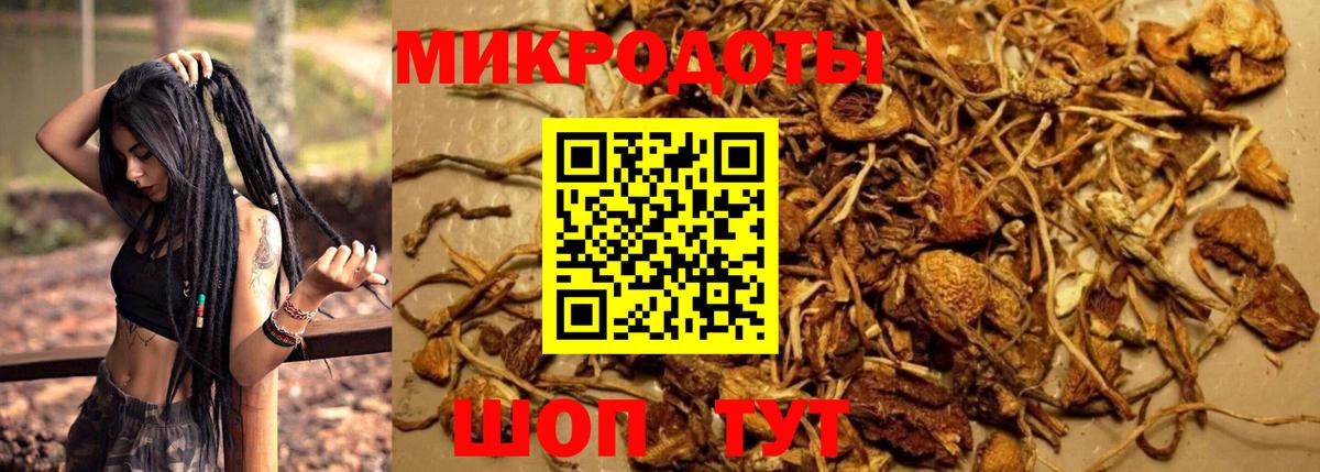 Одинцово  Галлюциногенные грибы Cubensis  Вход с VPN  Галлюциногенные грибы ЛСД 